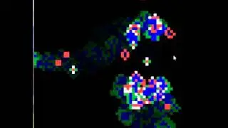 GPGPU   Conway's Game of Life