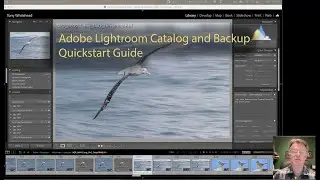 Lightroom Catalog and File Back up