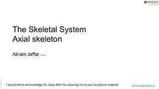 Skeletal system - axial skeleton 2017