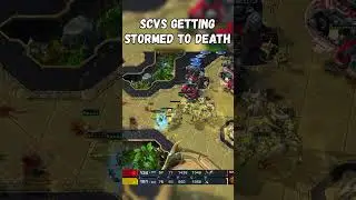Game Ending Storms in Kosit vs Sickest! #starcraft #starcraft2 #sc2 #shorts #mauzy