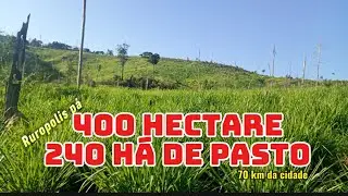 ESSA TÁ BOA DE PREÇO DE VERDADE 😧 400 hectare total com 240 há de abertura😳😱.