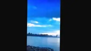 Vine: The Lion King