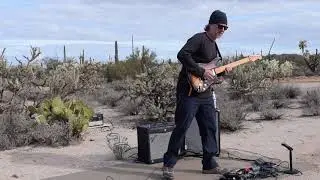 Desert morning
