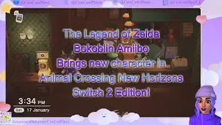 Legend of Zelda Bokoblin Amiibo Animal Crossing New Horizons Switch 2 Amiibo
