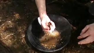 Sampling For Gold