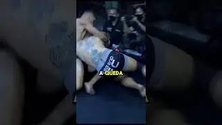 Luta de MMA acabando com muitas cotoveladas #mma #mmafighter #mmabrasil #muaythaibrasil #muaythai