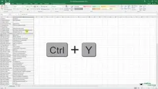 Undo, Redo and Repeat - Excel Hacks