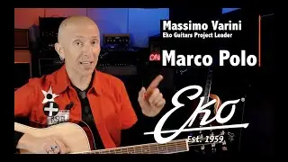 MARCO POLO Series COMPARISON - shape A & P wood - Massimo Varini