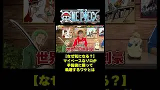 【なぜ気になる？】マイペースなゾロが手配書に限って執着するワケとは #short #onepiece #ゾロ #麦わらの一味 #手配書 #仲間がいるよTube