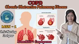 हिन्दी मे || COPD || Lower Respiratory Tract Disease ||MSN || CHN