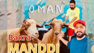 3 LAKH ka bakra 🙄 BAKRA MANDI IN OMAN 🇴🇲 MUSCAT / AMAZING MANDI/ #eid #mandi #oman #muscat