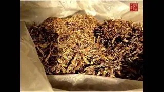 Yunnan black tea ☕️