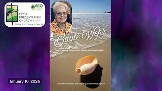 Gayle Wehr 