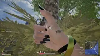 deadly aim