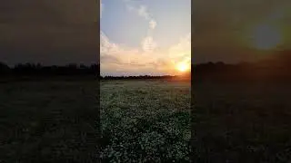 🌄 beautiful sunset 🌄 #nature #europe #beautiful #sunset #viral #mark #fyp