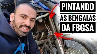 PINTURA DA BENGALA F800GSA- CASAL GSA