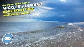 Охота за акульими зубами в пляжном парке Mickler's Landing в Понте-Ведра, Флорида!