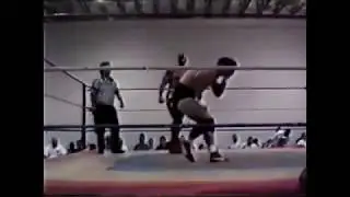 Hawk vs Dan Severn 