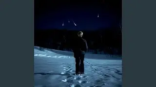 Звёзды