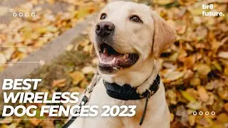 Best Wireless Dog Fences 2023 🥇🐕 TOP 5 Best Wireless Dog Fences to own in 2023