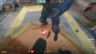 CS2 Defusal Protection