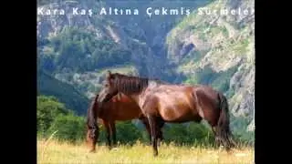 Kara Kaş Altına Çekmiş Sürmeler - Üç Ses Üç Saz