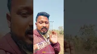 Jawan kisan bna krod pati