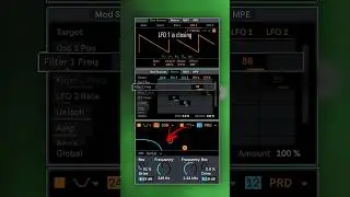 🚀 Afterlife Anyma Warp Stab FX for Melodic Techno in Wavetable
