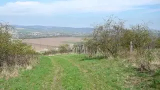 Park Rochus Uherské Hradiště - sad oskeruší