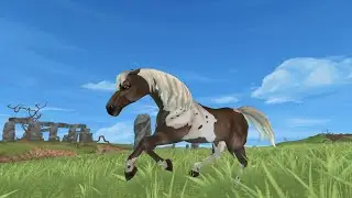 sso - BUYING MY FOURTH APH HORSE