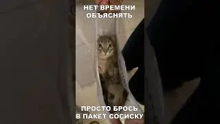 #music #drawing #gaming #art #puzzle #memes хочу сказать, что я до 24 мая этого года  не будет видео