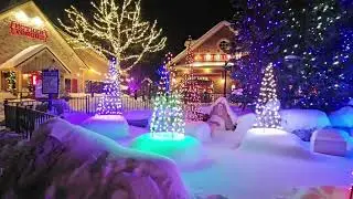 Blue Mountain Village on a snowy day ❄️❄️❄️