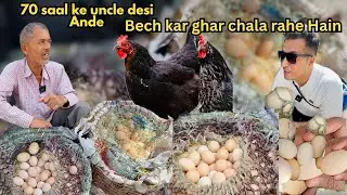 5 Inch ka Anda😱 | What to eat in Shimla | Shimla food tour