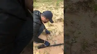 Finding Gold #shorts #tricks #tips #treasure #hunting #hunter