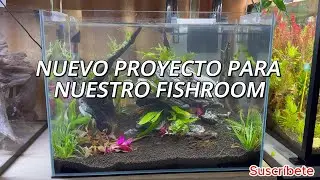 NUEVO MONTAJE PARA NUESTRO FISHROOM