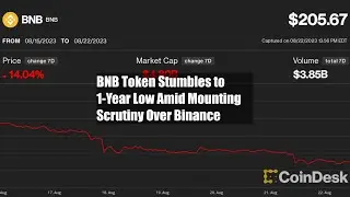 BNB Token Stumbles to 1-Year Low Amid Mounting Scrutiny Over Binance