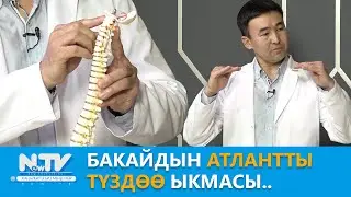 NewTV// Бакайдын атлантты  түздөө ыкмасы.. // Дабагер