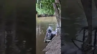 Man survives in the Amazon. Source: Xander Budnick #outdoorlife#naturevibes#getoutside#optoutside