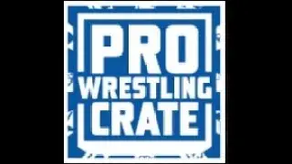 Pro Wrestling Crate Mask and Paint 8 September 2025 Bi-Monthly Crate