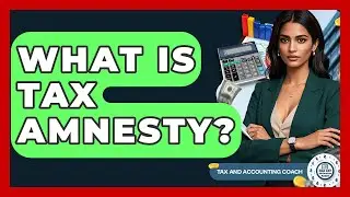 What Is Tax Amnesty? - Tax and Accounting Coach