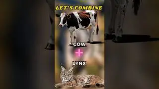 Let's combine cow + lynx, animal fusion, ai