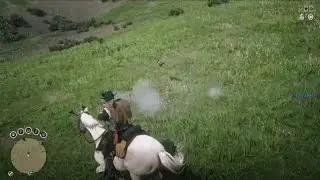 shooting rabbits with explosive rounds in Red Dead Redemption 2 #shorts