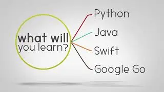 Become A Professional Programmer Bundle