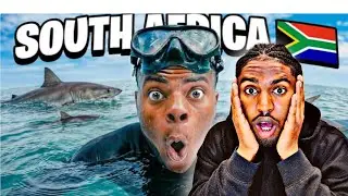 Reacting to iShowSpeed&rsquo;s Shark Diving South Africa Stream 🇿🇦🦈(Western Cape)