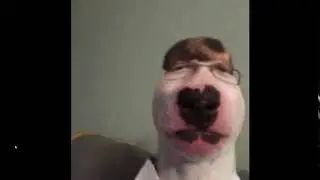 dog me carson