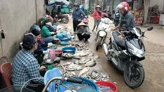 C&aacute; Ngạnh,C&aacute; Vền C&aacute;c Loại C&aacute; Hồ Thủy Điện Th&aacute;c B&agrave;,S&ocirc;ng Chảy.Tuy&ecirc;n Quang TV