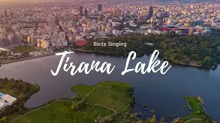 Birds Singing - Nature Sounds Early Spring - Tirana Lake
