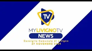Consiglio Comunale | 29-12-2025