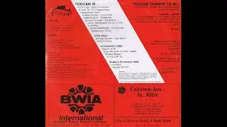 TOUCAN   If only in my dream   1985   Toucan Records