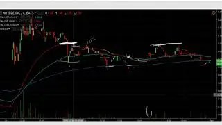 Avoid The Bag: MYSZ